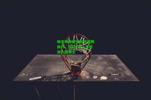  J9九游会平台-帕金斯批评快船休赛期操作，仅打C级，落后湖人和勇士