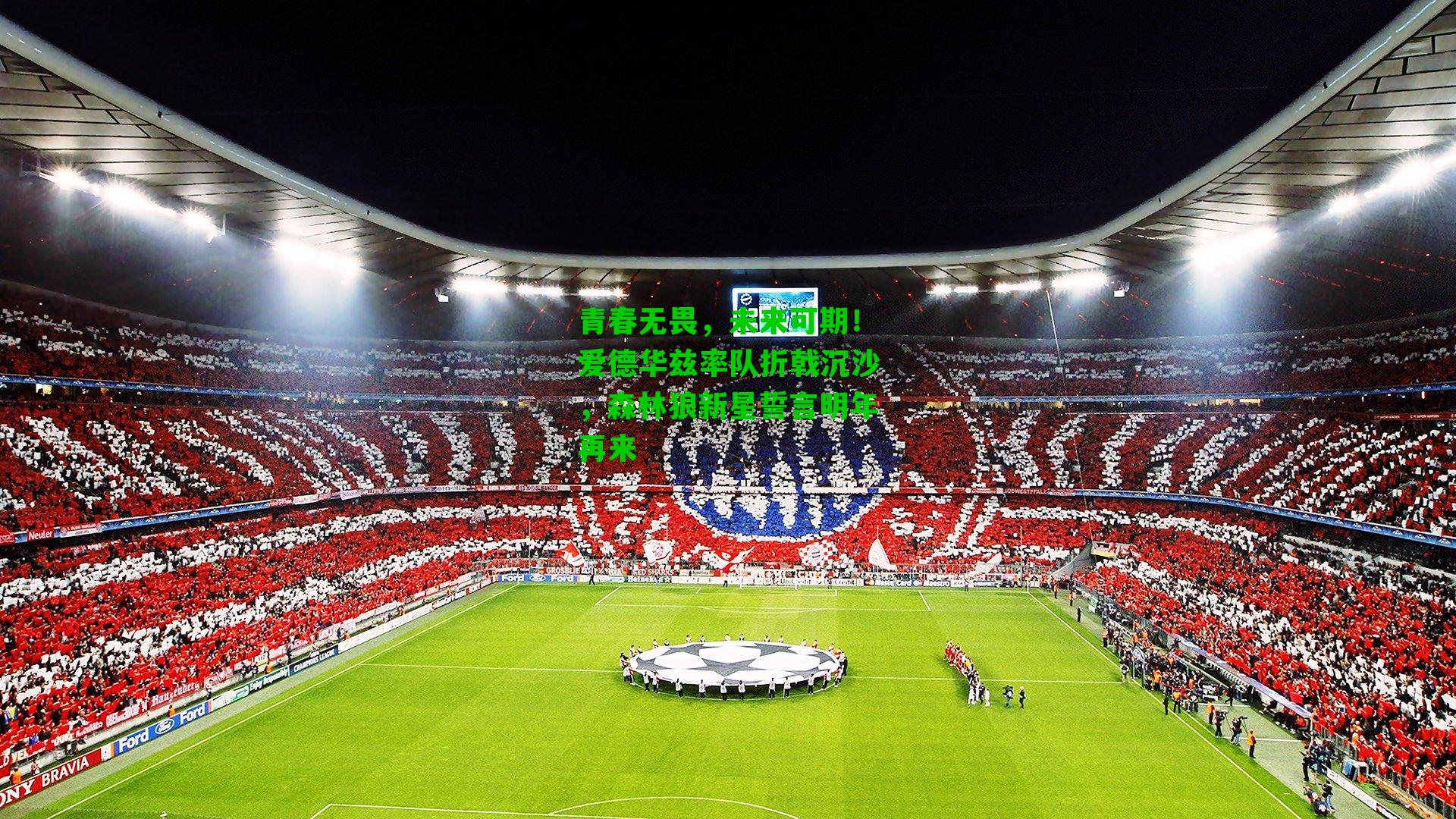 青春无畏，未来可期！爱德华兹率队折戟沉沙，森林狼新星誓言明年再来